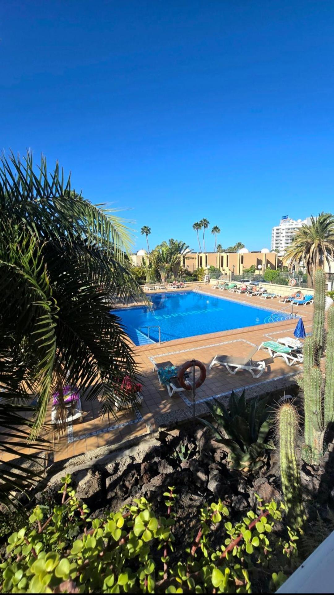 524 Ocean Dreams Las Americas Playa de las Americas  Exterior photo